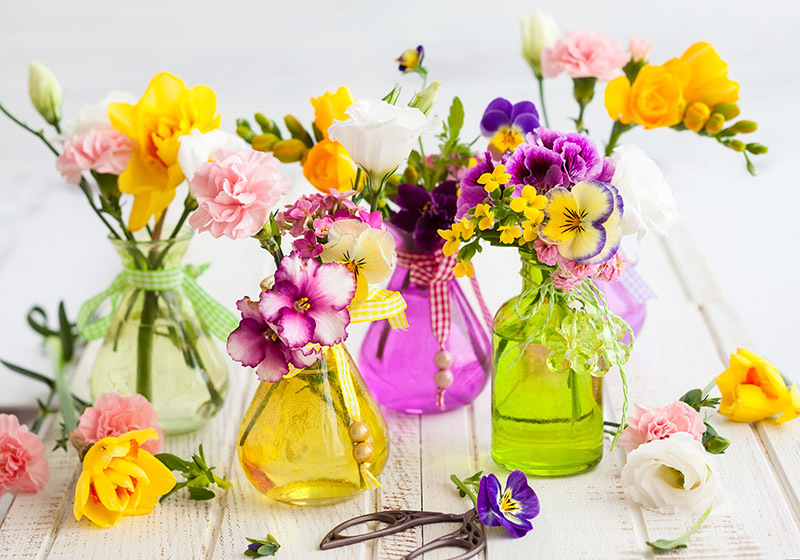 flowers flowers  / of flowers