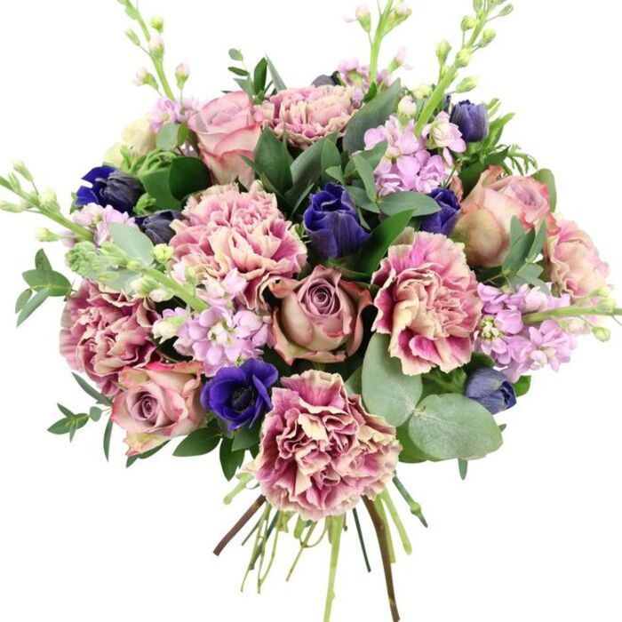 Against a simple white studio-style background, a lavish bouquet bursts forward with a carefully balanced mix of pinks, purples, and blues, clearly crafted by an experienced florist familiar with Harlington's love of stylish yet welcoming flowers. At the centre, large garden roses in blush and dusty mauve tones open in layered spirals, each petal catching the light to reveal subtle variations in colour that give the bouquet depth and softness. Around these focal blooms, generous ruffled carnations provide volume and intricate texture; their petals blend creamy beige and pale rose near the centre, then shift to deeper blush, fuchsia, and plum along the rippled edges, creating a painterly effect. Punctuating the softer shades, several deep indigo and royal blue blooms appear, some still in tight, tulip-like bud form and one fully open anemone displaying a dark, almost black centre that adds dramatic contrast near the base of the arrangement. Slender, upright stems of lilac and pale lavender stock weave through the design, bearing clusters of small, densely packed flowers that introduce lightness and a sense of vertical motion reminiscent of gently swaying borders along Harlington's residential gardens. Encasing the flowers is a lush frame of mixed greenery, including glossy dark green leaves and rounded, silvery eucalyptus foliage that suggests a cool, refreshing fragrance. The stems are neatly gathered and visible at the bottom, emphasising the bouquet's hand-tied craftsmanship and freshness, ready for local delivery to homes and workplaces around Harlington. The overall feeling is one of romantic elegance and calm joy, ideal for anniversaries, milestone birthdays, or simply brightening a loved one's day with an artfully arranged floral gift.